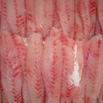 nile perch-fish fillets