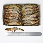 Head on tiger prawns T2 (21-30 pc per kg) “QUEEN”  ( 2KGS X 6 Pcs)