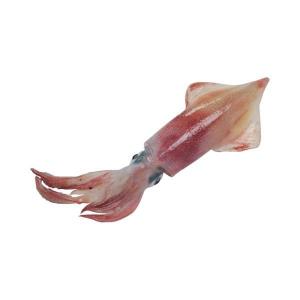 Baby  squid whole  3-4 cm  , 10 Kgs Carton IQF