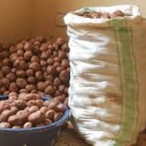 A sack of Irish potatoes