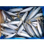 Blue fish whole  Retail Pack 1 kg x 15 Pkts)