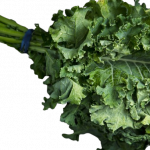 kale vegetable