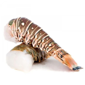 Rock lobster Tails small size  70-150 gm