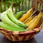 Plantain (Gonja)