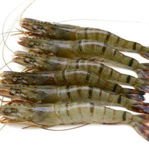 Head on tiger prawns T5 (40-60 pc per kg)  ( 2KGS X 6 Pcs)