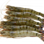 Head on tiger prawns T5 (40-60 pc per kg)  ( 2KGS X 6 Pcs)