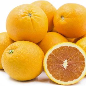 Imported oranges