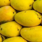 Kili mangoes (Local)