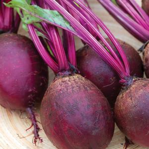 Beetroot