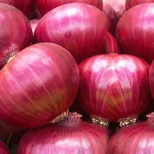 Red onions