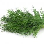 Dill