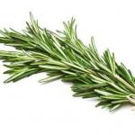 Rosemary