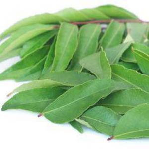 Curry leaves