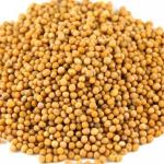 Mustard seeds