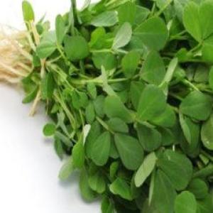 Methi Leaves