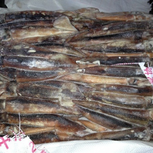 Squid whole cleaned  -I.Q.F (*Calamari*)  Squid size 150-250 Gms ,15 kg a box