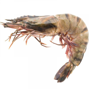 Jumbo Prawns  (U/10) (6-10 pc per kg)  ( 2KGS X 6 Pcs)