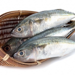 indian mackerel 1kg