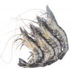 Head on tiger prawns T3 (30-40 pc per kg)  ( 2KGS X 6 Pcs)